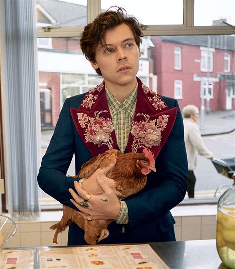 gucci fish and chips|Harry Styles New Gucci Tailoring Campaign Pictures .